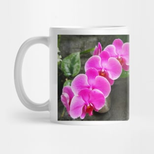 Fuchsia Pink Tropical Orchid Flowers near Waterfall Mug